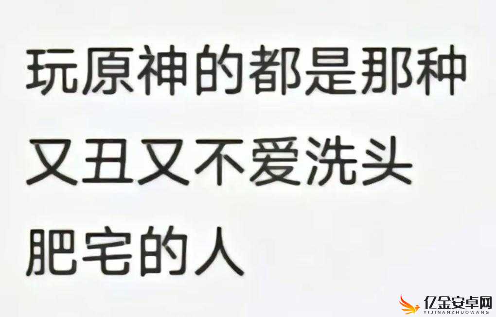 哈～c 够了吗提纳里？教你成为游戏高手