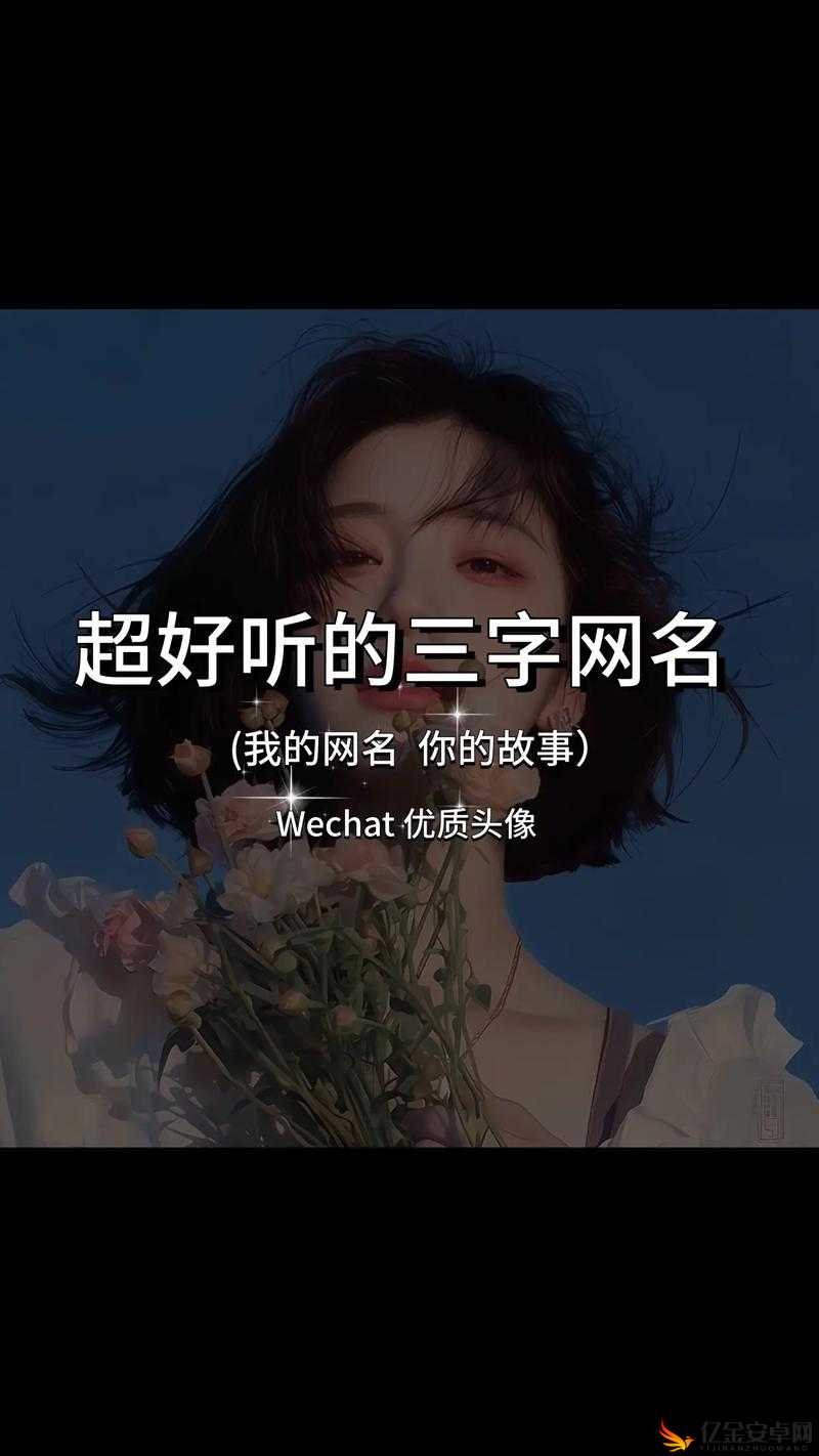 Tom 永久地域网名所蕴含的独特魅力与故事