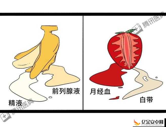 关于 www.潮吹 的独特现象与探讨